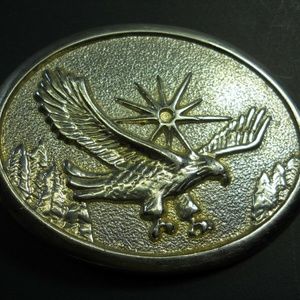 Soaring Bald Eagle Bird Sun Stars Belt Buckle j33